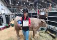 Houston Livestock Show and Rodeo 2024 (13 Photos)