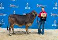Houston Livestock Show and Rodeo 2024 (13 Photos)